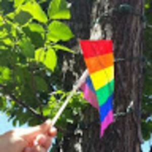 Meet your Posher, Evie